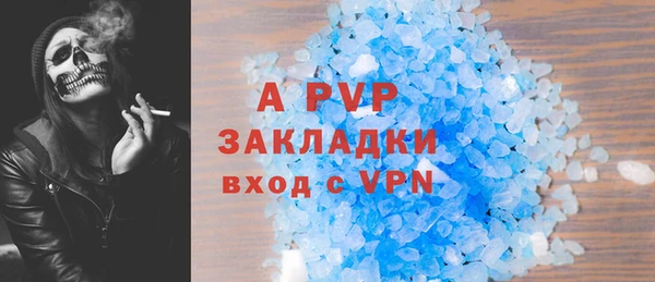 ПСИЛОЦИБИНОВЫЕ ГРИБЫ Михайловка